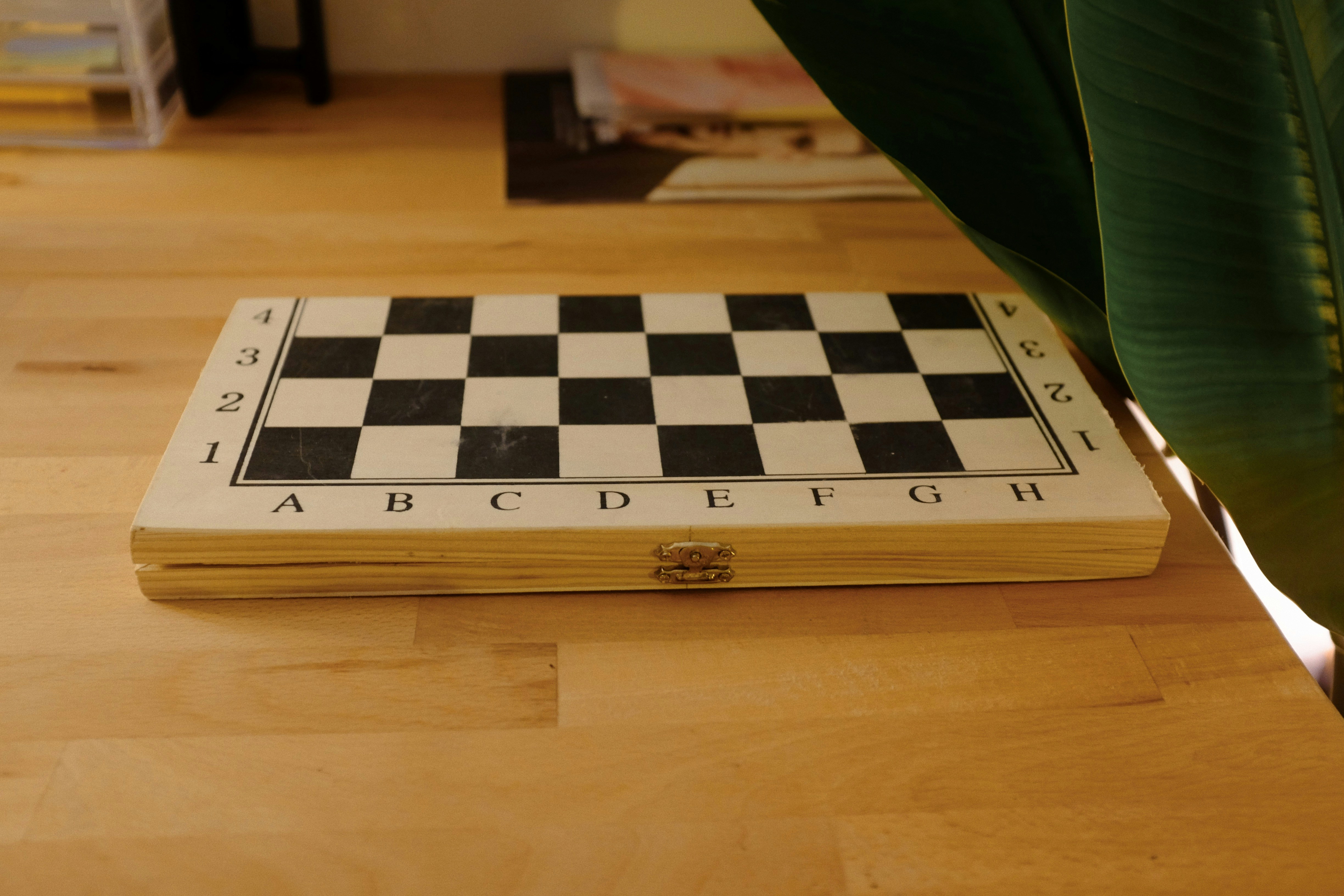 Reversi game board privacy